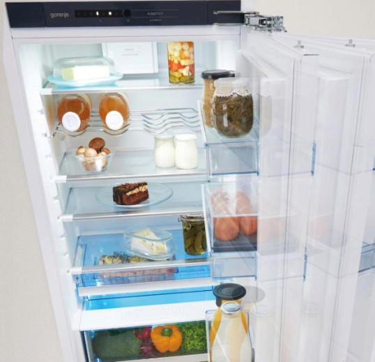 Холодильник встраиваемый Gorenje RI 2181 A1 - Фото  1
