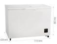 Морозильный ларь Gorenje FH30DAW - Фото  2