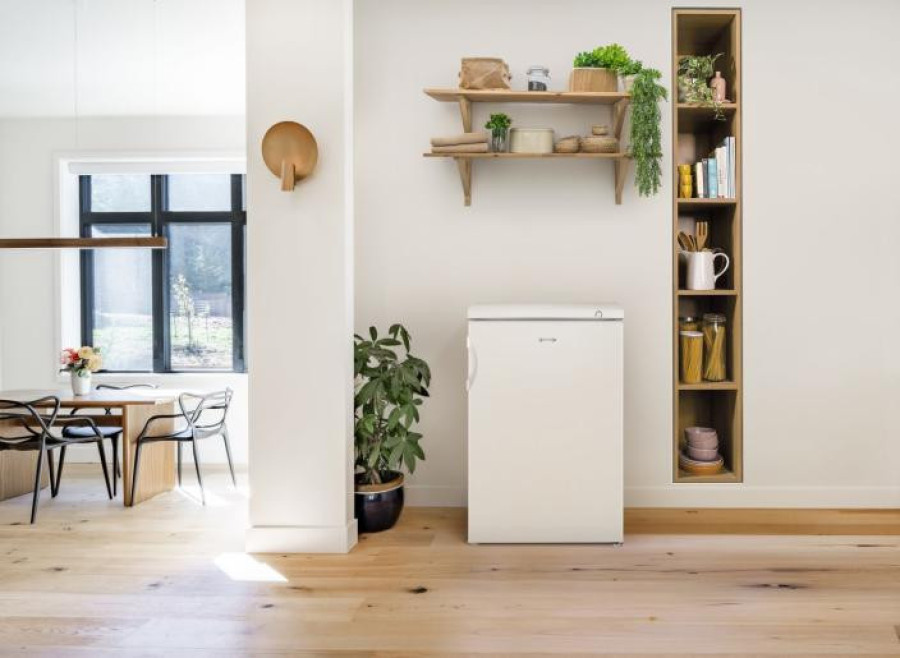  Морозильная камера Gorenje F492PW 