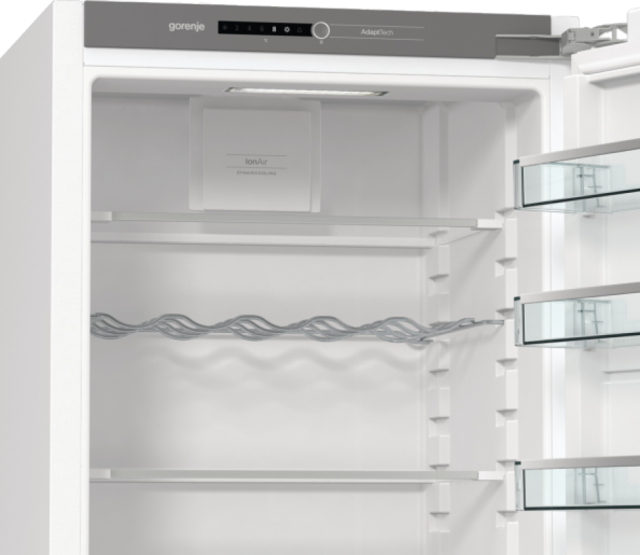  Холодильна камера Gorenje RI5182A1 