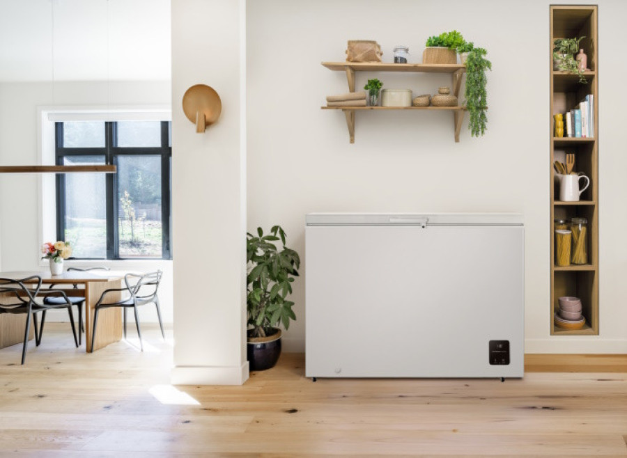  Морозильна скриня Gorenje FH30EAW 